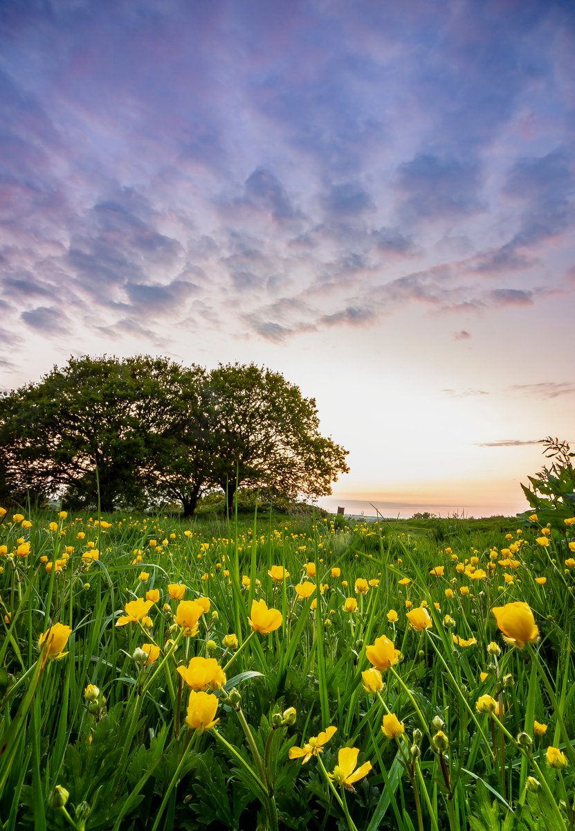 This photo of <a href="/TorrieCommons/">Torrington Commons</a> won me two return flights with <a href="/flybmi/">flybmi</a> today. I love where I live - how lucky am I have to have this natural beauty on my doorstep? #DevonHour #northdevon <a href="/GreatDevonDays/">Devon Days #LoveDevon</a> <a href="/Devon_Hour/">#DevonHour</a>