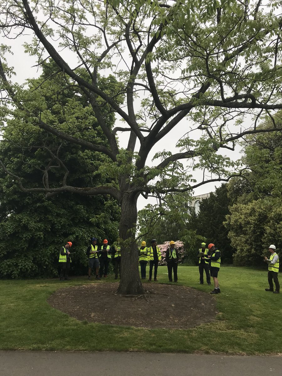 treelogicuk's tweet photo. TRAQ course, learning the ropes with the master Tom Smiley work toward training the course in the near future. @ISArboriculture @ArbAssociation https://t.co/ZTl8VAKgFa