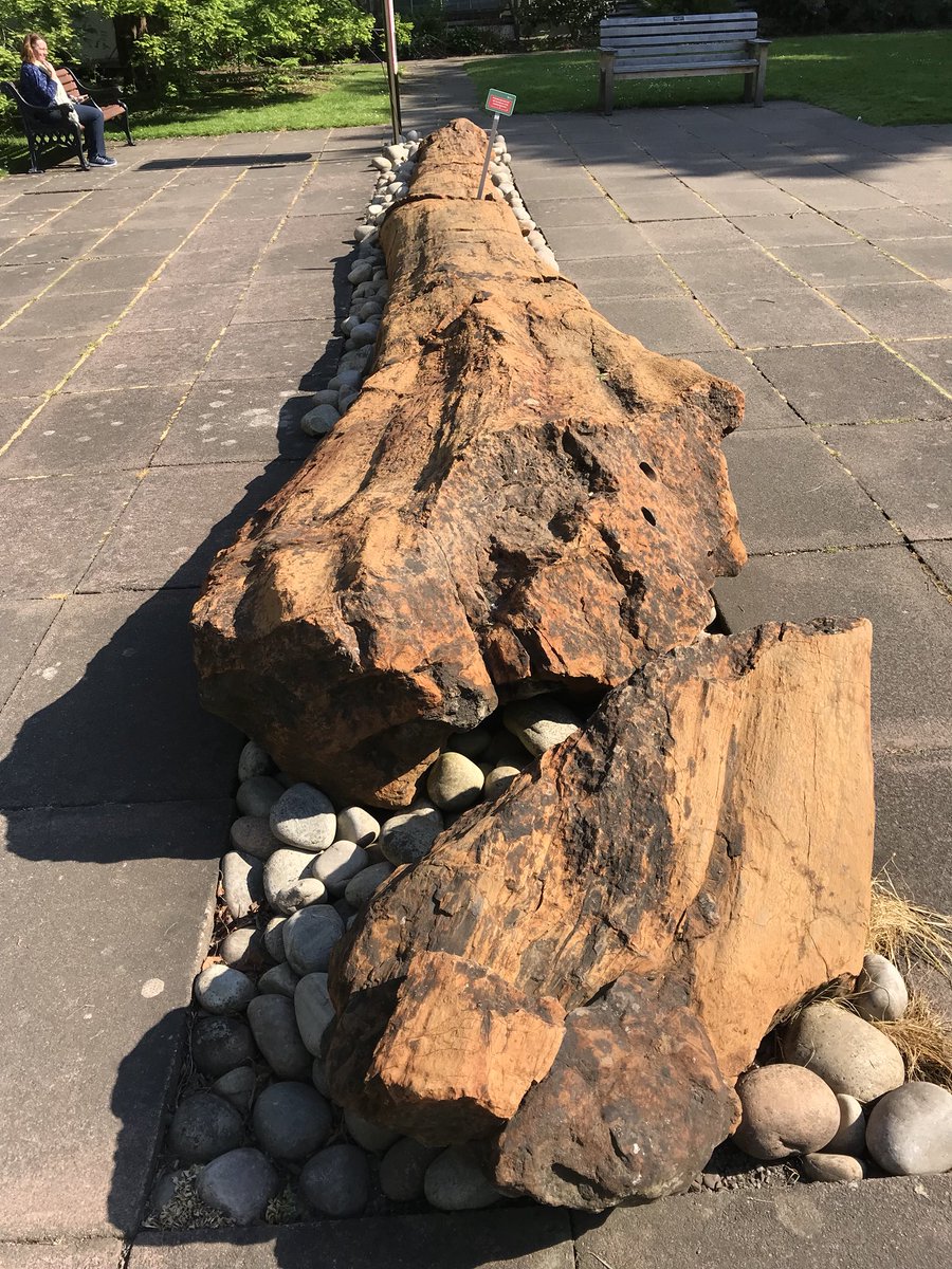 treelogicuk's tweet photo. Edinburgh botanical gardens https://t.co/Gn3F8kiKKk