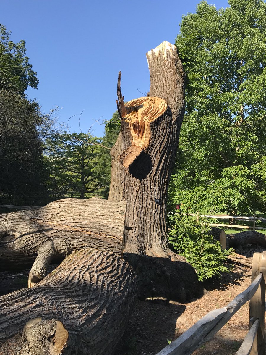 treelogicuk's tweet photo. Edinburgh botanical gardens https://t.co/Gn3F8kiKKk