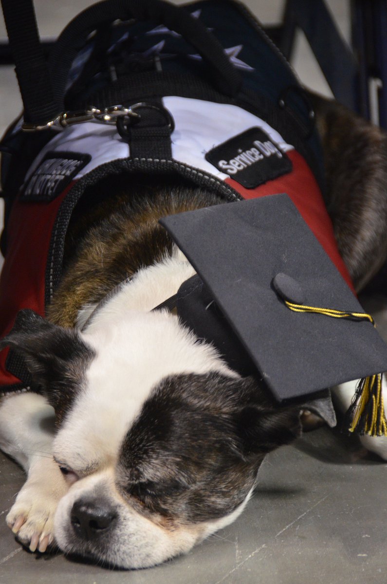 FAYTECHCC's tweet photo. “I served for two years, and I have PTSD. This is my service dog, Baxter... Whenever I get nervous, anxious, or upset, he gets in my face and comforts me. FTCC, the faculty and the staff has been so supportive.” – Heather Anderson, @USArmy vet, #FTCCGraduate #ClassOf2018 https://t.co/ur7L4xg6fX