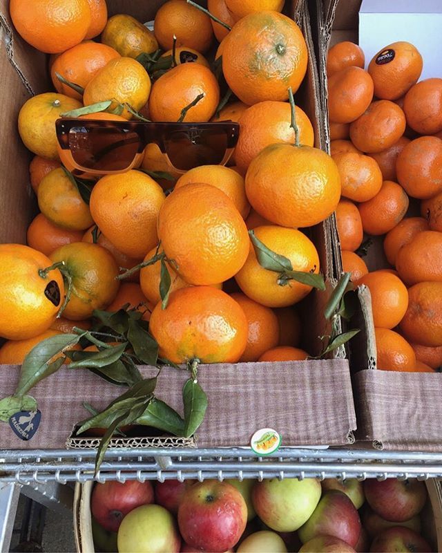 SILVER DOLLAR in citrus🍊🌿 ift.tt/2J00aml