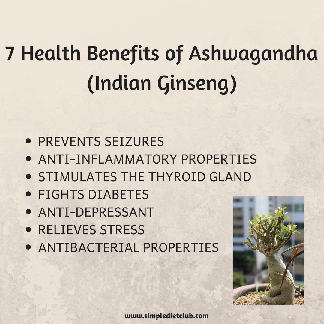 SimpleDietClub's tweet photo. 7 Health Benefits of Ashwagandha (Indian Ginseng) ! Click on the link in the bio and subscribe to our email list #health #diet #nutrition #motivation #beauty #healthylifestyle #weightloss #detox #fitness #happylife #simpledietclub #life #healthtips #indianginseng #nutrients https://t.co/UBCEJDtuBm