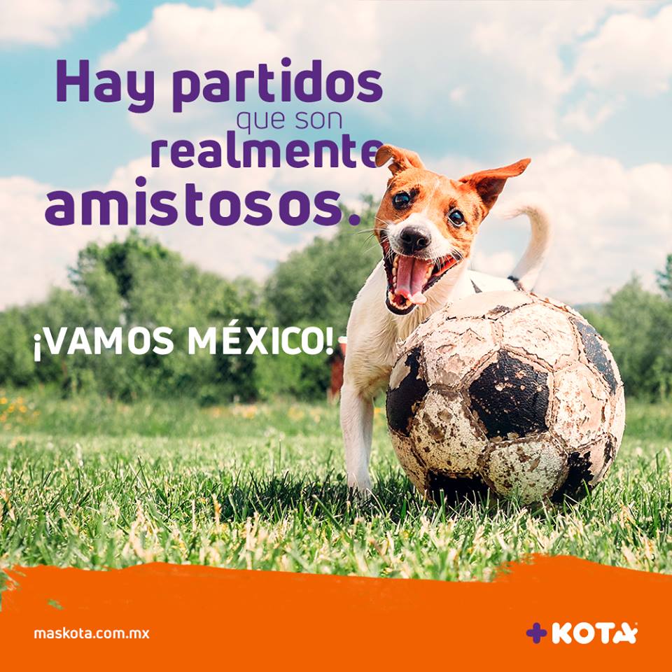 TradeTracker_MX's tweet photo. Te invitamos a que promociones nuestra campaña @MaskotaMexico de animales y te pongas a mimar tus resultados! https://t.co/zko0SLJ9MV https://t.co/1TK5xlnL0T