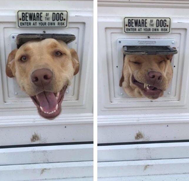 KylePlantEmoji's tweet photo. Me when I make plans with friends vs me the day of https://t.co/w7e0TjLtqS