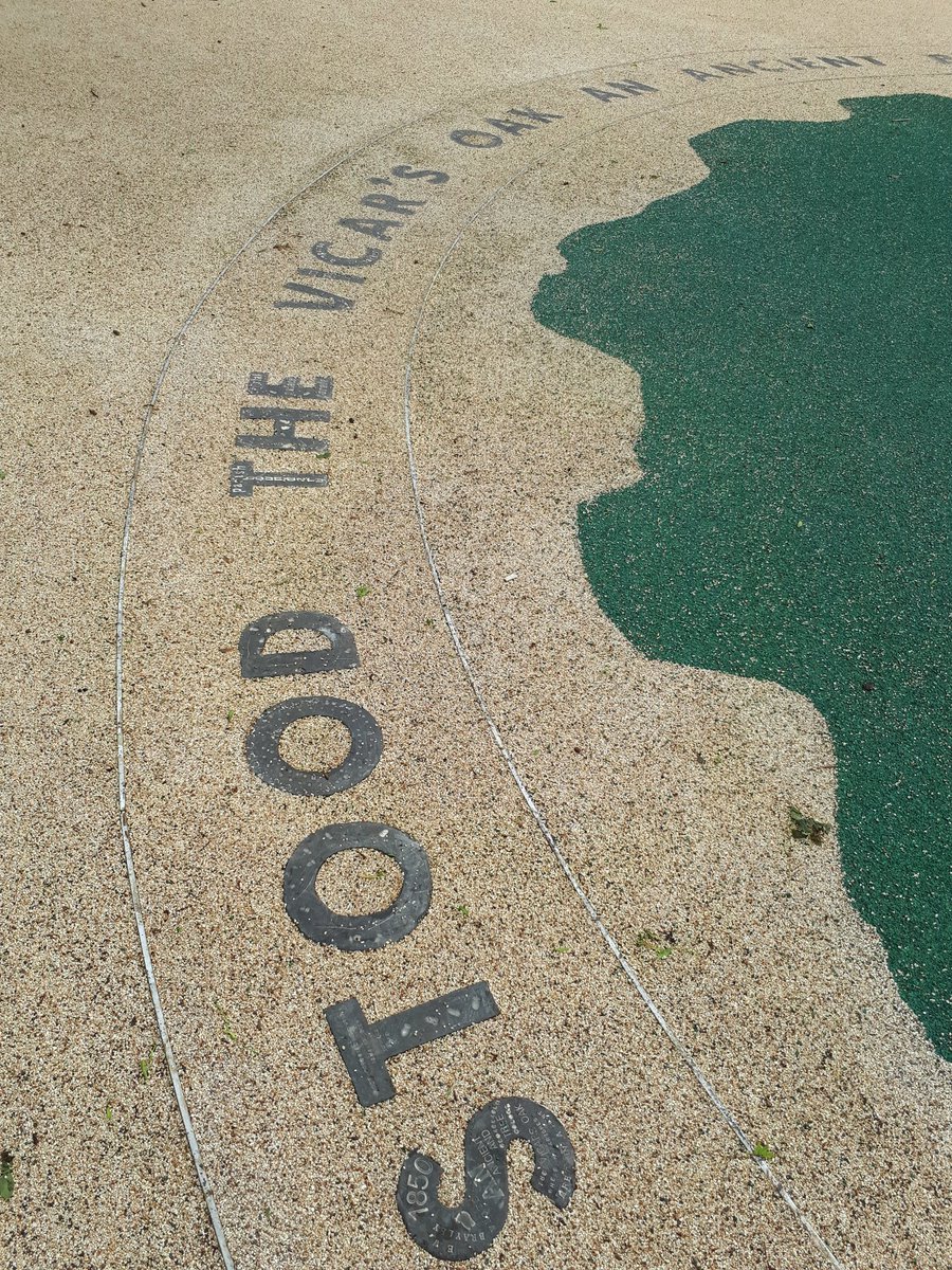 Beth Mander Ceramics tweet media