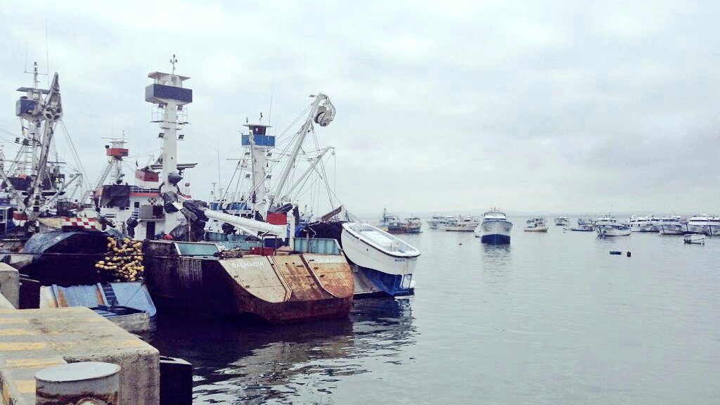 AlfredoOrtizEc's tweet photo. #APMinforma | El dragado del ⚓ Terminal Pesquero y de Cabotaje beneficiará a todos, por ello es importante el apoyo para la reubicación de las embarcaciones, esto traerá mejor orden y mayor seguridad, brindando un aspecto visual más agradable al turismo del Puerto de Manta. https://t.co/jiVYnurURy