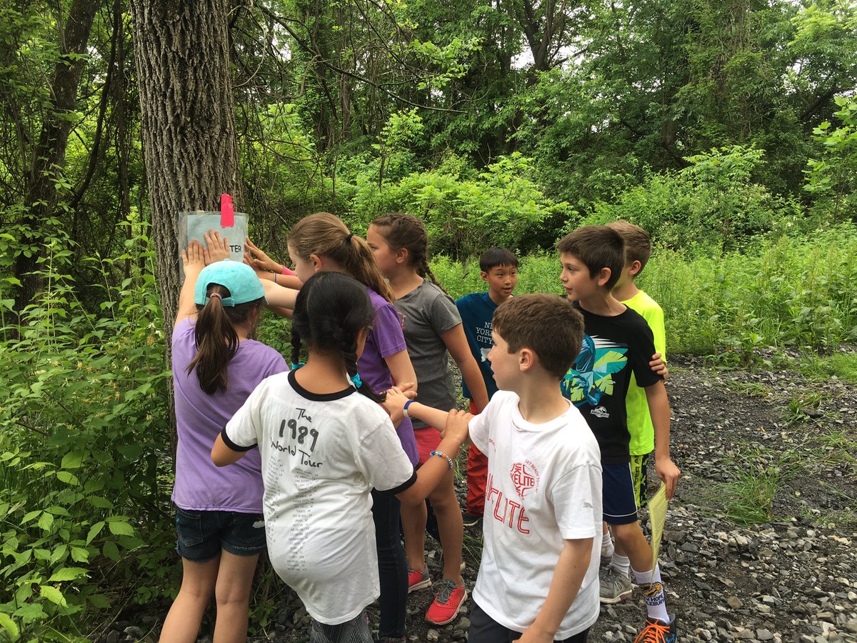 3rd grade field trip to Honey Hollow ☺️ Our students had such a fun day learning all about adaptations, animals, and nature! 🐸🐛🐌🐢🕸🌿@BCASHoneyHollow @UESPrincipal @Jacquel25336994