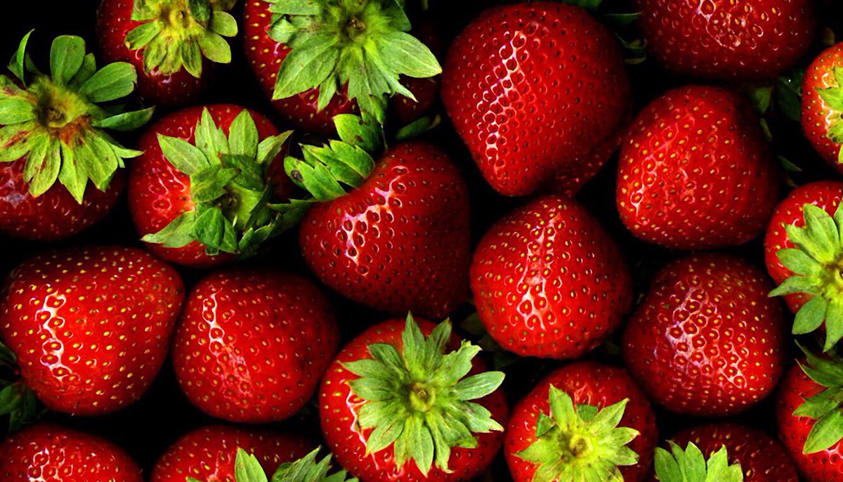 freshfromfarmTO's tweet photo. STRAWBERRIES just arrived from @bizjakfarms in Niagara. #FreshFromTheFarm 🍓 https://t.co/yA3UsVpCgC