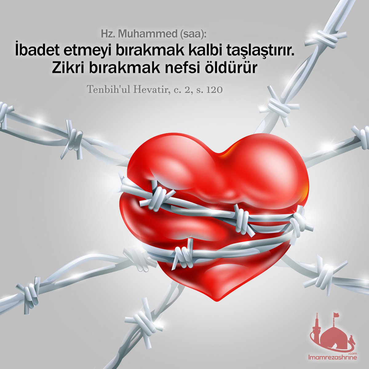 imamrezatr's tweet photo. #hzmuhammed #holyshrine #turkey #türkçe #harem #meşhed #ramadhan #oruç #mashhad #zerih #ziyaret #qom #muslim #islam #ibadet #kalp #heart #soul #worship #pray #nefis #zikir #hatır #dua #imamrıza 🌷 https://t.co/j5kWTGRY3Y