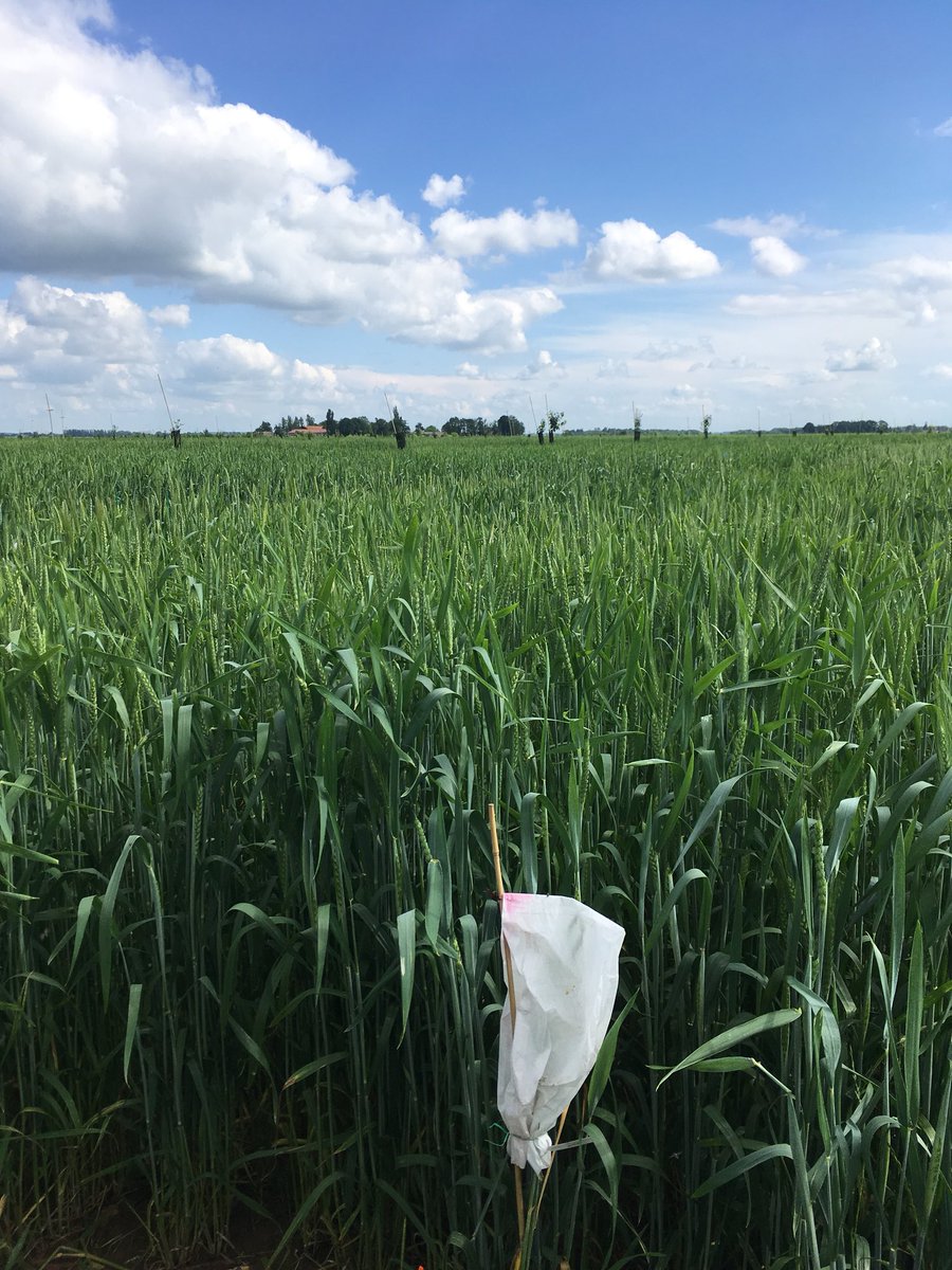 Adrien Pelletier tweet media