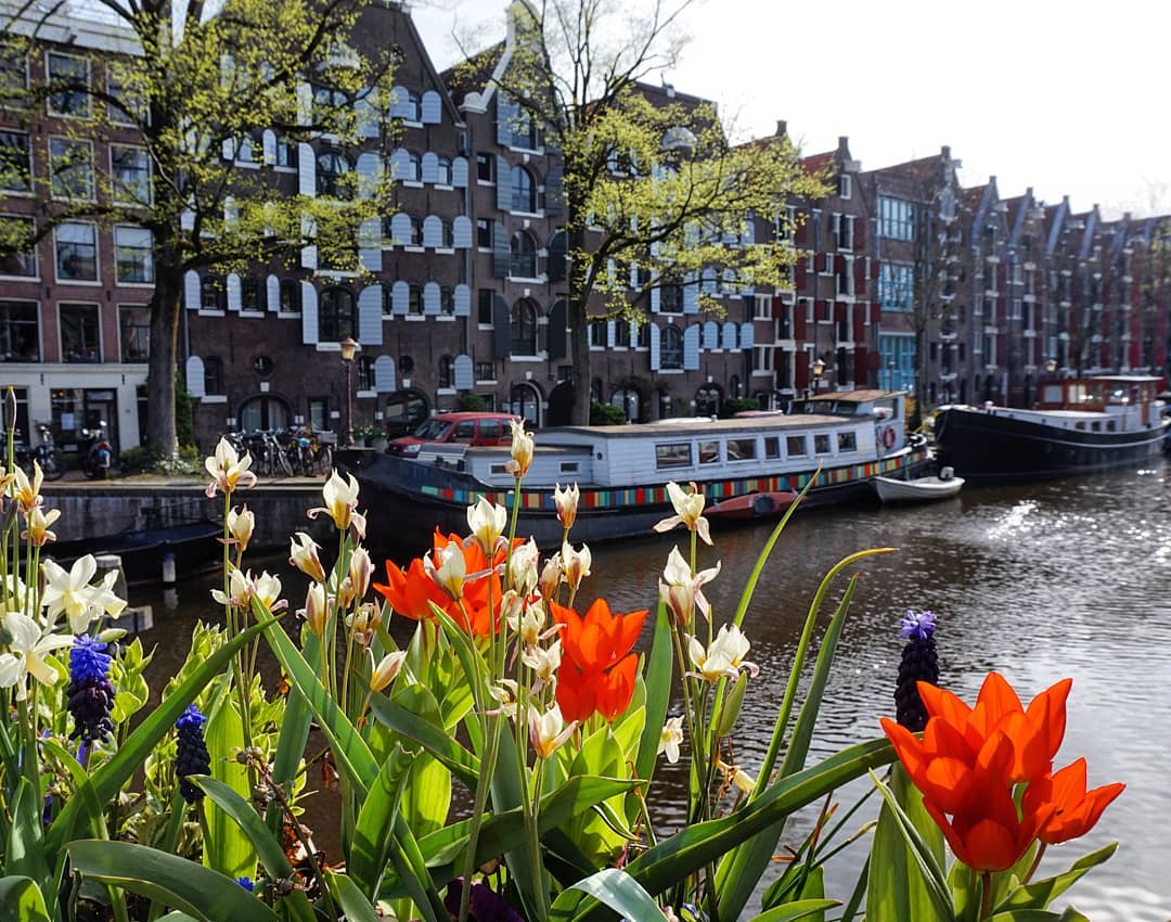 Beautiful canals of Amsterdam... #LoversCanalCruises #Amsterdamcanals