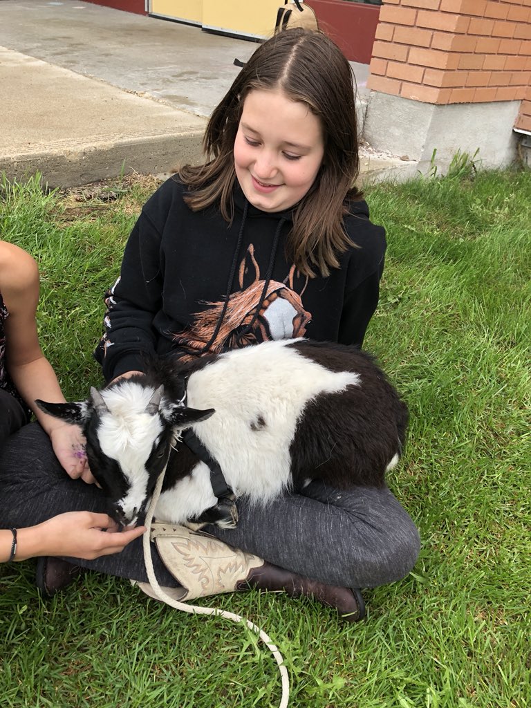 WbsGrade78's tweet photo. @WpgBeachSchool had a visitor today! https://t.co/QEfOph09AK