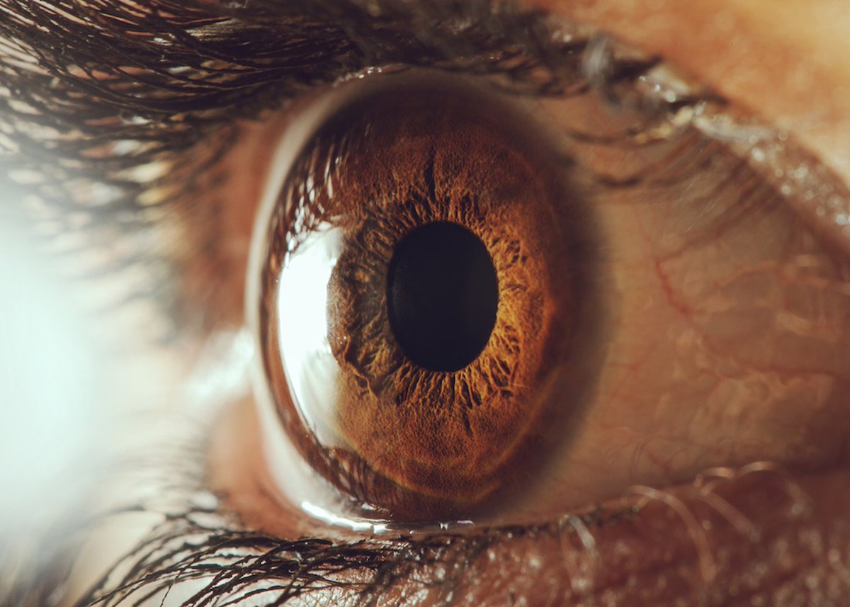 LiveScience's tweet photo. Scientists Have Figured Out How to 3D-Print Part of the Human Eye https://t.co/teEUiJfLeH https://t.co/UIqWgF0DJa