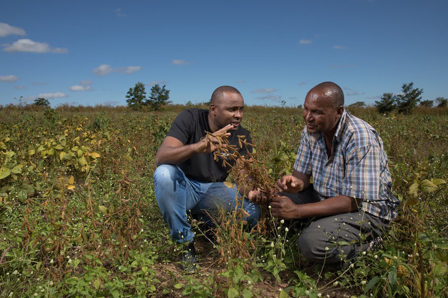 gertvanderbijl's tweet photo. Presented the impact of the #Solidaridadnetw Mozambique soy programme today at #RT13 with support of group of Dutch pig farmers KDV. Soy sustainability can be about positive impact: yields of smallholders increased, they now have title deeds. First African RTRS certification https://t.co/WoR8wYNrMD