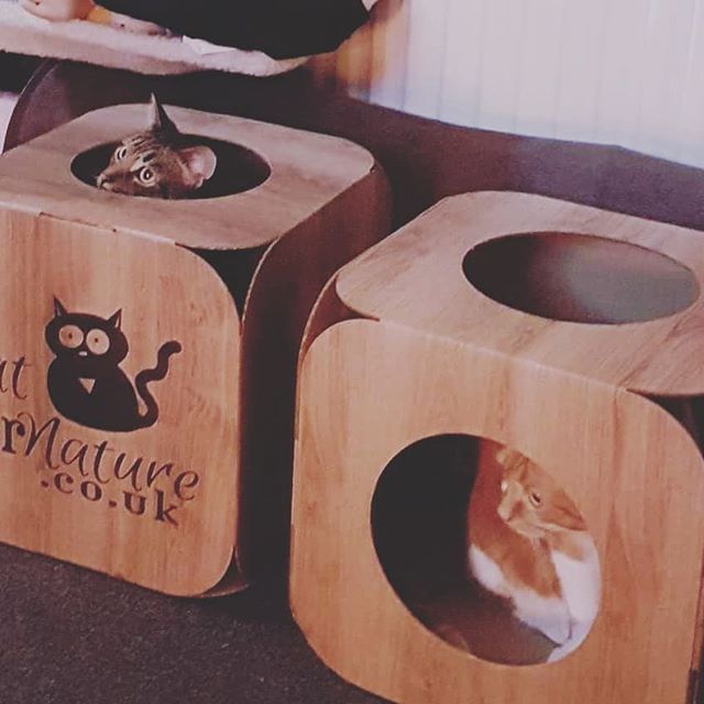 CatFurNature's tweet photo. Look at those two cute faces π»π»π» #cat #catsofinstagram #cats_of_instagram #catfurnature #catfurniture #catsinboxes #cattoy #INSTACAT_MEOWS #cutecat #PurrMachine #catsinboxes #catbox #Excellent_Cats #BestMeow #dailykittymail #thecatniptimes #catcube #β¦ https://t.co/2CvaGI1g47 https://t.co/ihqfjgHnxH