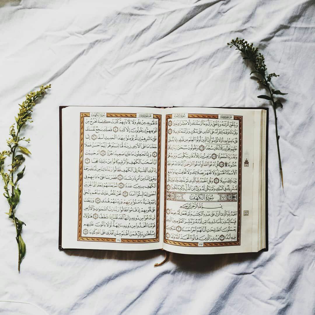 اللهم ارزقنا بكل 
حرف من القرآن حلاوة ،
وبكل كلمة كرامة ،
وبكل آية سعادة ،
وبكل سورة سلامة ،
وبكل جزء جزاءً حسناً ..💙
#رمضان