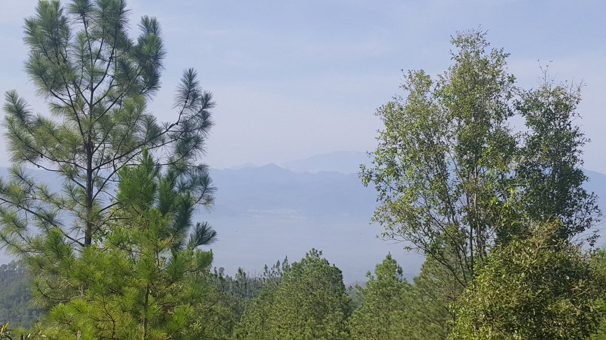 olipave's tweet photo. Mi bello #Merendón luce radiante. #Reforestado y lleno de #Vida. Solo el trabajo en equipo de la #MSPS0501 y la comunidad y sector privado han logrado esta majestuosidad. https://t.co/DN4qqqXCq3