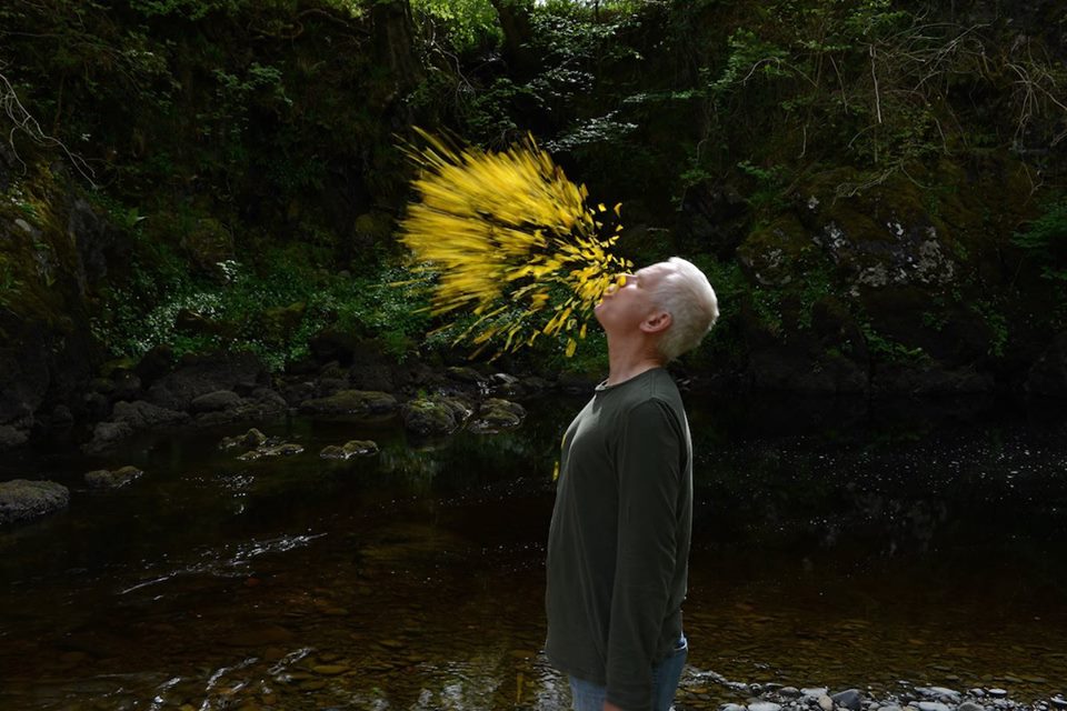 SpencerMuseum's tweet photo. Join us tomorrow at 6pm for the first film in our #BigBotany on the Big Screen film series: Leaning into the Wind–Andy Goldsworthy.
#documentary #art #nature #landscape https://t.co/xNPxuTG8TJ https://t.co/sZv09PokSd