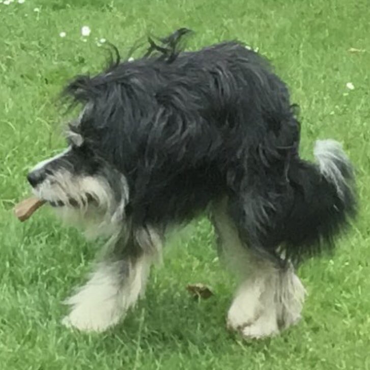 View image on Twitter