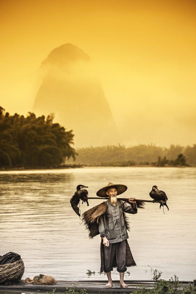 PackYourBag_'s tweet photo. Li River, China 🇨🇳 https://t.co/G8j2AqItD2