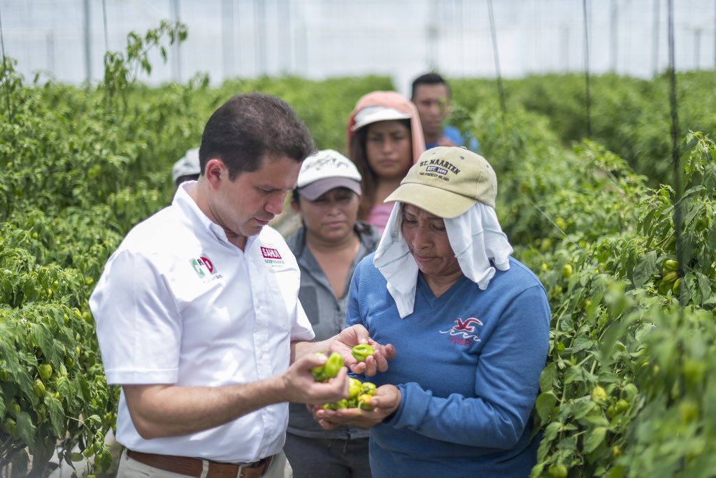 mauriciosahui's tweet photo. En conjunto, con el esfuerzo de mujeres y hombres productores, vamos a hacer de Yucatán una Potencia Agroalimentaria. Creo en nuestra tierra y creo en un Yucatán que puede cosechar su mejor versión. https://t.co/RTRBDHgsnL
