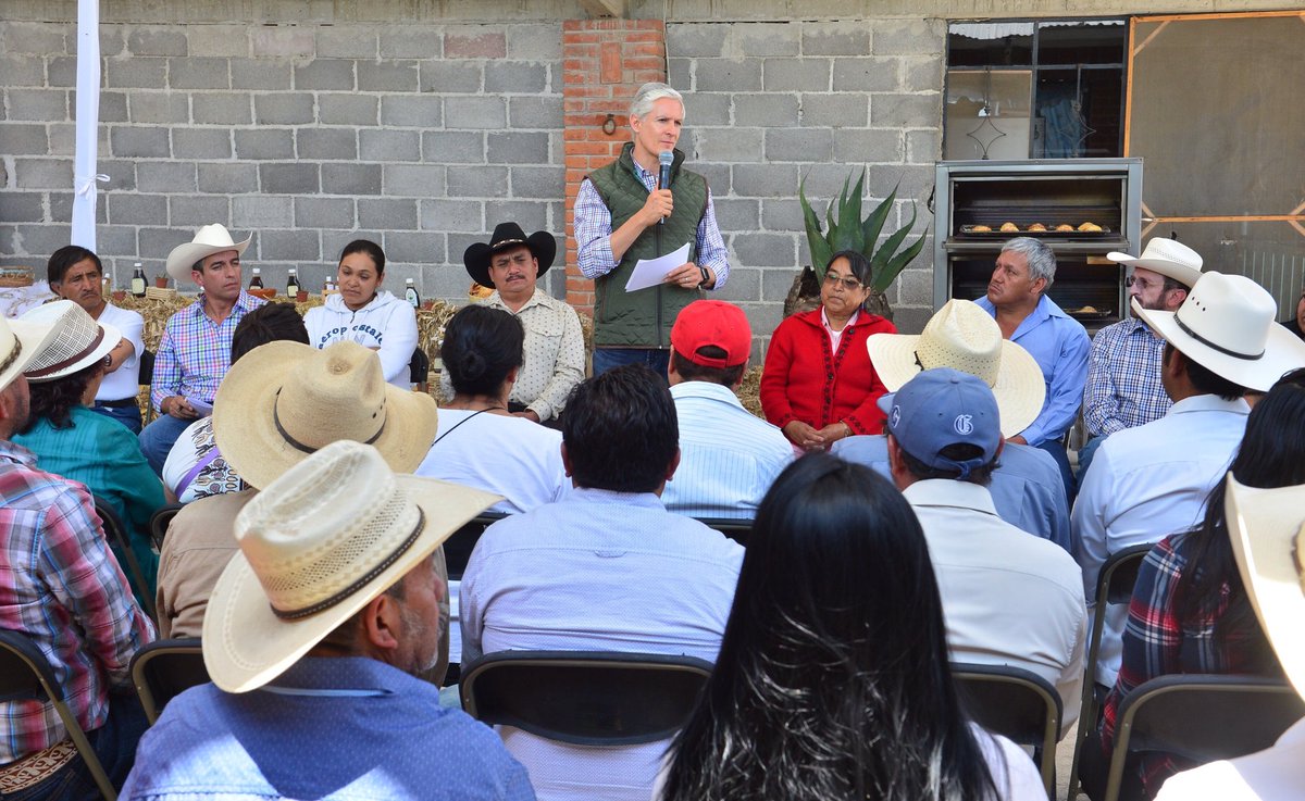NachoBeltranG's tweet photo. Con 1442 hectáreas de cultivo de maguey pulquero el #EdoMéx ocupa el 3er lugar a nivel nacional en la PRODUCCIÓN DE PULQUE. 
En Coatepec Ixtapaluca el Gob. @alfredodelmazo reafirma su apoyo con los productores e impulsa los productos innovadores, ejemplo de ello la #PulcaLeta. https://t.co/UUCE34zWNI