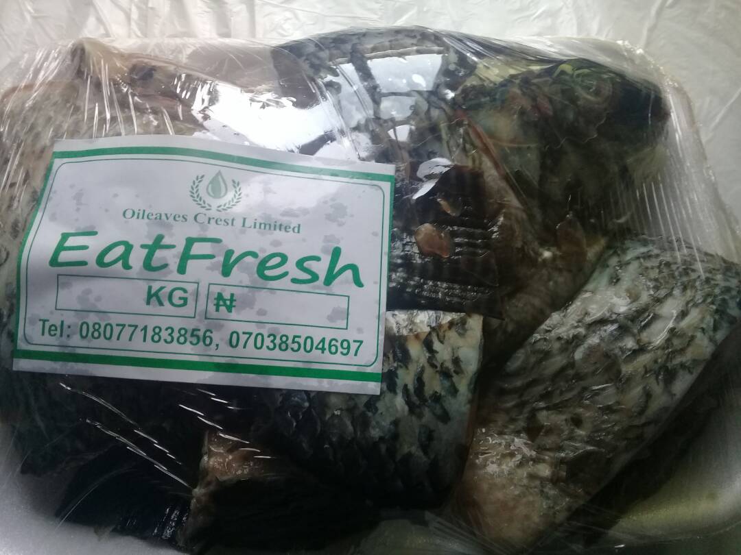 oileavescrest's tweet photo. @oileavescrest
Our products

Croaker fish (Nigerian): N2300 per kg

Tilapia fish: N1500 per kg

Place your orders from *Sun to Wed* weekly 📝📝

Delivery days are *Thurs, Fri and Saturday*.🚛

Fresh,affordable, hygienic, halal certified

Delivery charges apply (Within Lagos only) https://t.co/zBUBpBQGuL