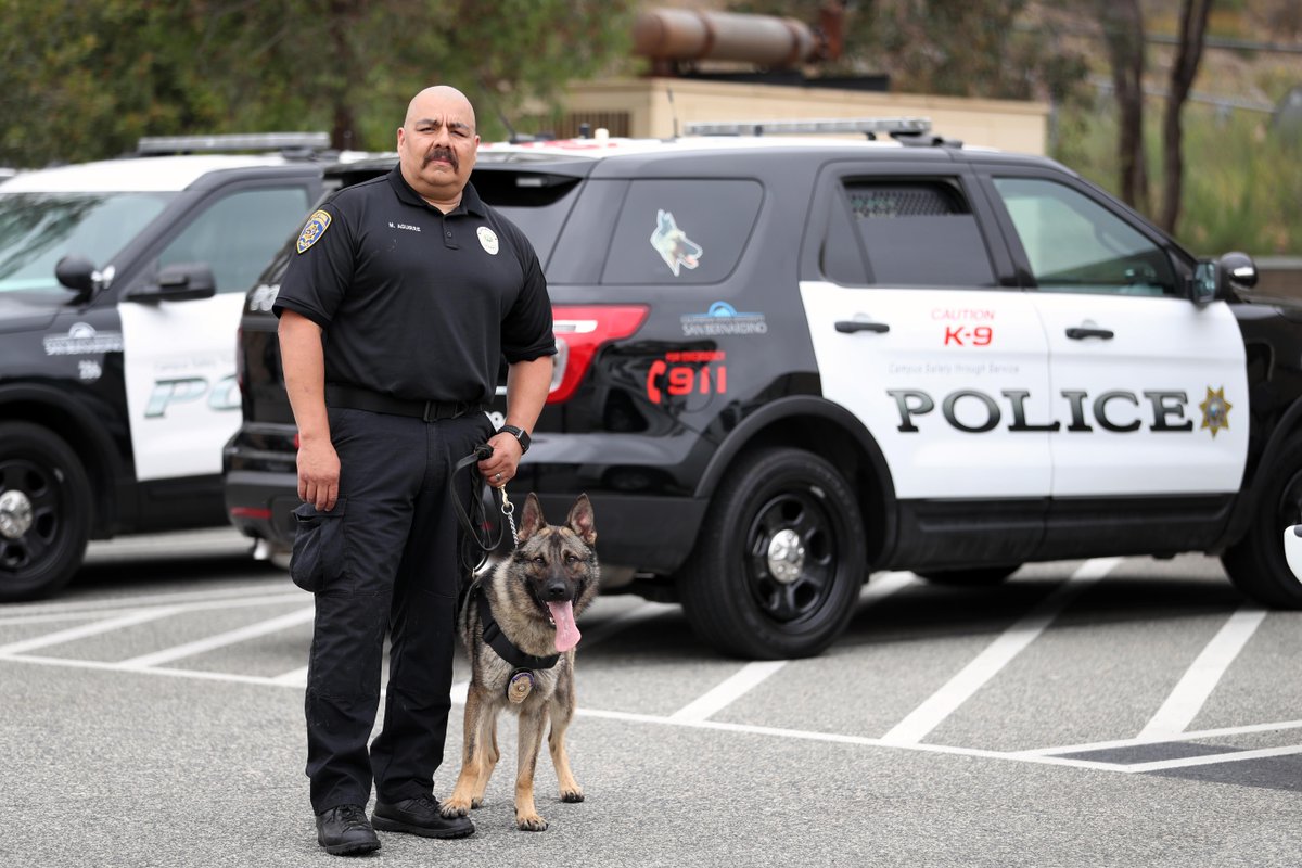 coyotecalling's tweet photo. .@CSUSBPD welcomes its newest officer, Sisu. The K-9 will working with Officer Manny Aguirre.  https://t.co/VHuKRabUze https://t.co/v8O5IrSSdQ