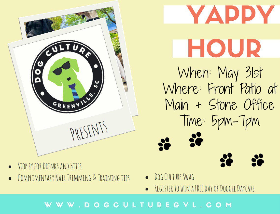MainAndStone's tweet image. M+S Residents! Join us along with @dogculturegvl for a Yappy Hour tomorrow! Thursday | May 31st from 5pm to 7pm #MainAndStone #DogCultureGvl #Prizes #DogTraining #YappyHour #DogFun