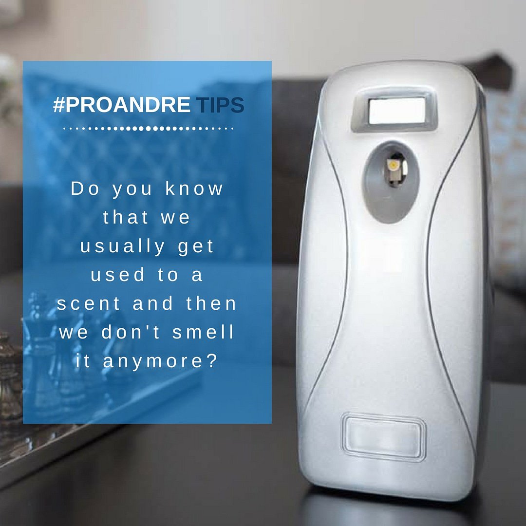 proandrehygiene's tweet photo. So change your air freshener fragrance every 6 months and you will see the difference. #ProandreTips
#Proandre #AirFreshener #Miami https://t.co/0dm7Kq9Tx9 https://t.co/N6aeUMAXUn