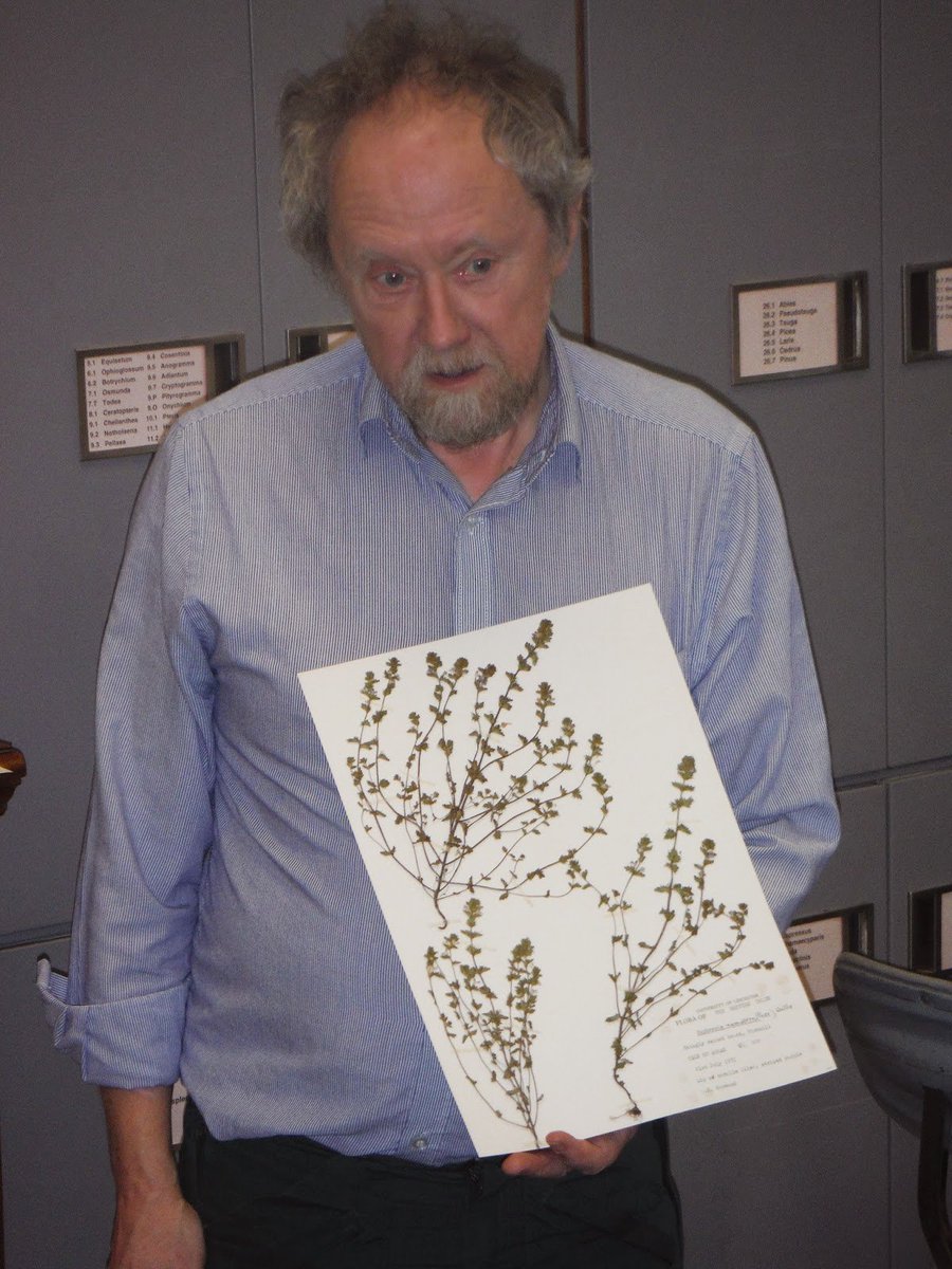 BSBIbotany's tweet photo. Only 24 hours left for #BSBImembers to pre-order a copy of the #BSBIhandbook on #Eyebrights This interview https://t.co/Owf21GKtUl with author @EyebrightChris offers a glimpse into 6 years of work that went into this book! Not a #BSBImember yet? Join here: https://t.co/QcPUyRChif https://t.co/fnewKbx3BO