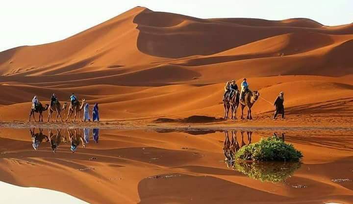 MarruecosTotal's tweet photo. Hello welcome with us in the desert of Morocco!
#desert #Morocco #travel #tour 
https://t.co/Qbk9HZYapG https://t.co/zN5aRSXtYX