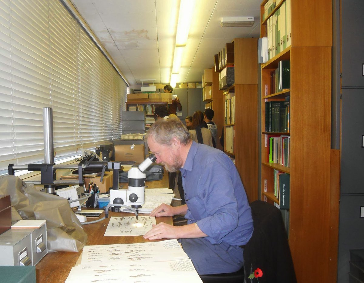 BSBIbotany's tweet photo. Only 24 hours left for #BSBImembers to pre-order a copy of the #BSBIhandbook on #Eyebrights This interview https://t.co/Owf21GKtUl with author @EyebrightChris offers a glimpse into 6 years of work that went into this book! Not a #BSBImember yet? Join here: https://t.co/QcPUyRChif https://t.co/fnewKbx3BO
