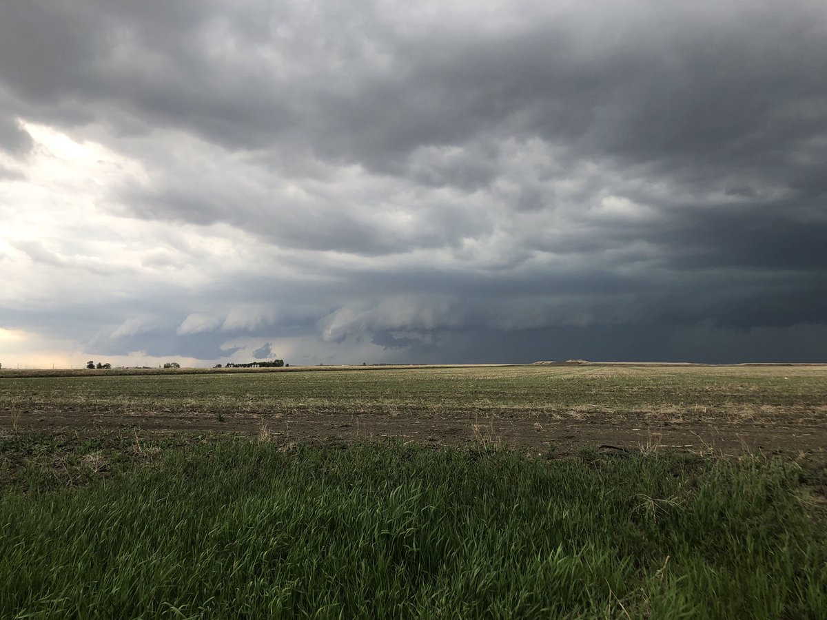 noahbiegs's tweet photo. West of Regina at 3:55pm #yqr #skstorm https://t.co/IJfLKnAXtM