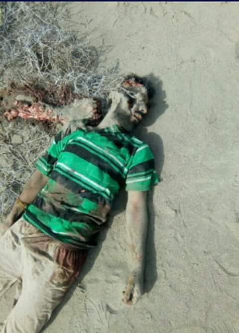 gasemdmem123's tweet photo. @HUSSAINMHDI12 هنا الصور الحقيقية لجثث الزنابيل تحت اقدام ابطال اليمن عقبالك اولا انت قنديل https://t.co/NhK7PzYe6O