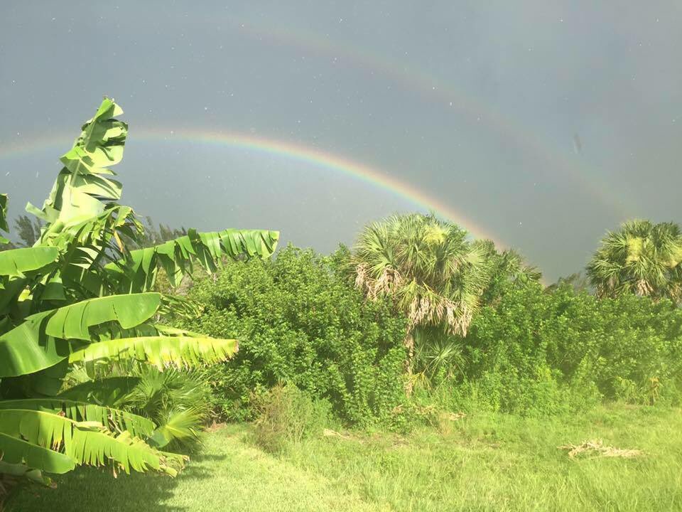 FGCInsurance's tweet image. Let us know if you’d like a no obligation quote on your insurance to save your business money.
fgcinsurance.com