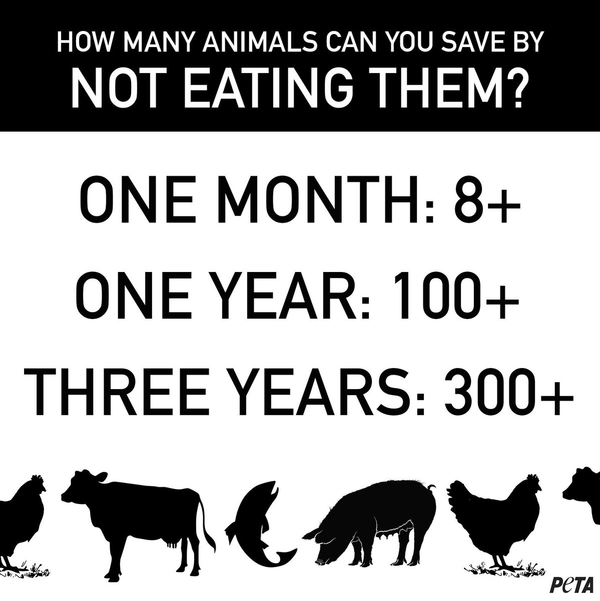 peta's tweet photo. To save all the animals. #MyBucketListIn5Words https://t.co/tEbGdSNkXJ