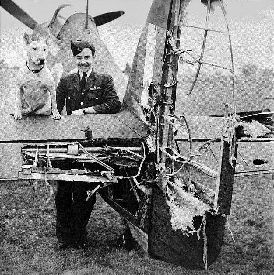 Hurricane, dogfight damage