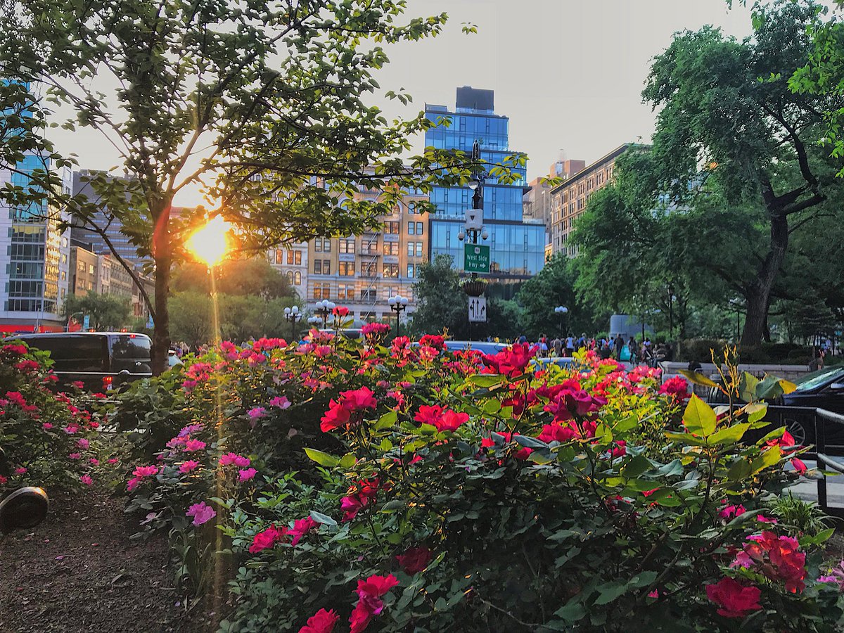 edcolemangolf's tweet photo. #NYC in bloom🌺
.
.
#nyc #manhattan #unionsquare #gotham #sunset #city #cityscape #igsunset #uspixels #instagood #newyork #newyorkcity #newyork_instagram #manhattanhenge #unionsquare https://t.co/dmdJfm2jq6