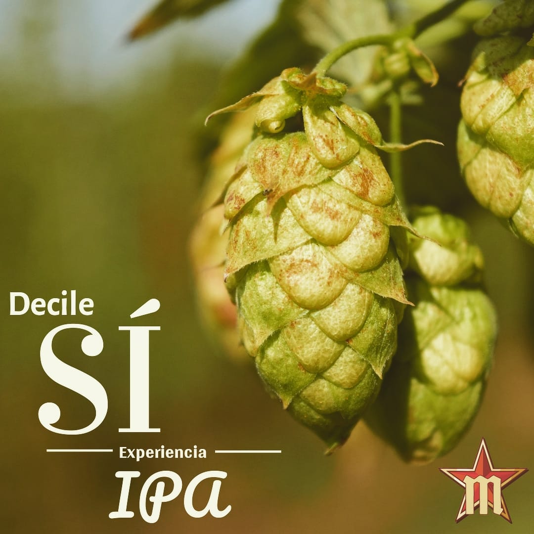 cervezamuntzer's tweet photo. Desde hoy podrás vivir y disfrutar la #ExperienciaIPA en @cervezamuntzer con nuestras Kamuk #blackipa y Kenékik #Redipa Te esperamos hasta las 22hrs. El cuerpo te pide Müntzer, el alma te pide lúpulos
#cervezaartesanal #craftbeer #birra #Ushuaia #TierradelFuego #tierradebirras https://t.co/tWhaPpZ15A