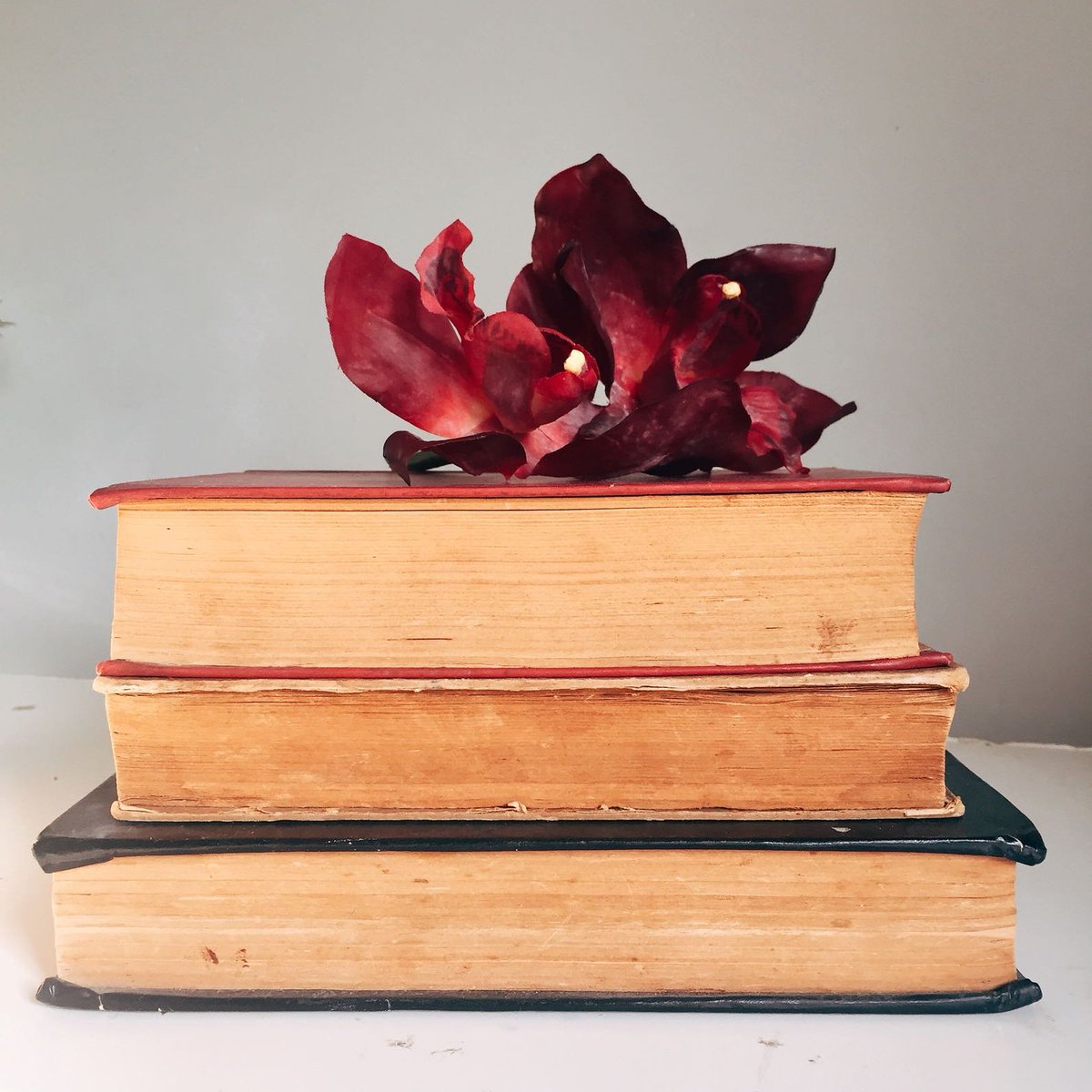 Usta şairlerin duygu yüklü dizeleriyle büyüyen nesillere gelsin bu karemiz📸🖋🌺 #book #style #Flowers