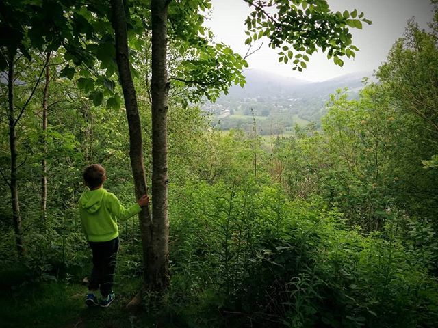 weonsnonge's tweet photo. View!
.
#daddydaycare #breconbeacons #cribarth #sleepinggiant #walesneverfails #hiking #craigynos #outdoorsisfree #getoutside https://t.co/ZxNl2V4Buz https://t.co/GowNQrunqd