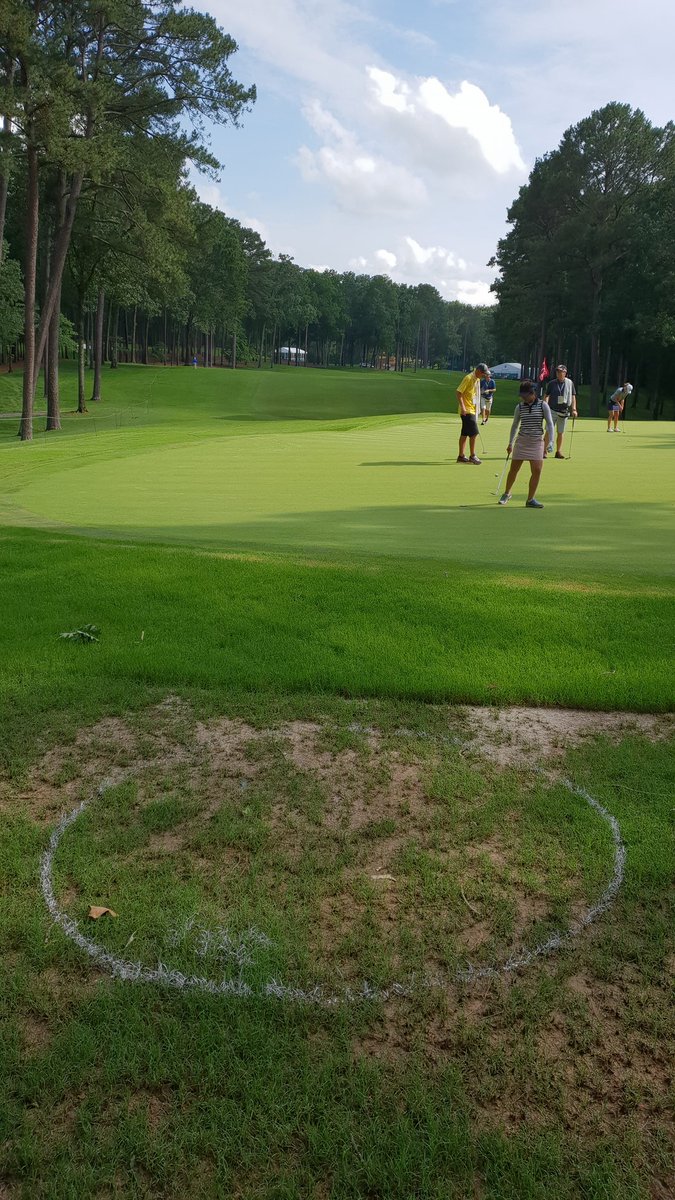 What a drop zone! Between the TV tower and the 15th green? #lpga #USWomensOpen #USGA #golf @RandallMellGC <a href="/GolfweekNichols/">Beth Ann Nichols</a> <a href="/karis333/">성호준</a> <a href="/ronsirak/">Ron Sirak</a> #shoalcreek