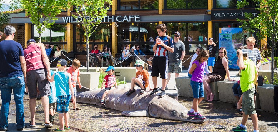 Hang out with long-tailed monkeys, majestic snow leopards and bamboo-loving red pandas at the Edmonton Valley Zoo! bit.ly/2gcujSX #ExploreEdmonton