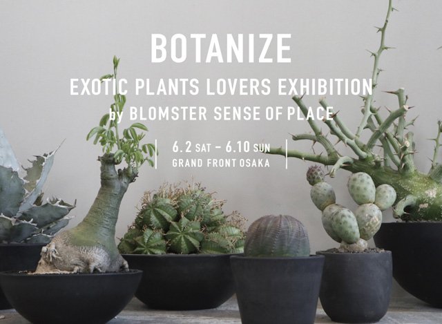 Sense Of Place By Urban Research A Twitter 今週土曜日開催 Botanize ボタナイズ Pop Up Shopをグランフロント大阪店にて期間限定オープン エキゾチックプランツのセレクトショップ Botanize から コーデックス 塊根植物 を中心に品揃え豊富に販売いたし