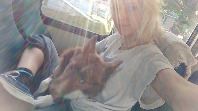 Crayfish are freshwater mini lobsters https://t.co/Ucpu1HFCRR<a href="/tag/bowsette"class="tags"><span>#bowsette</span></a>