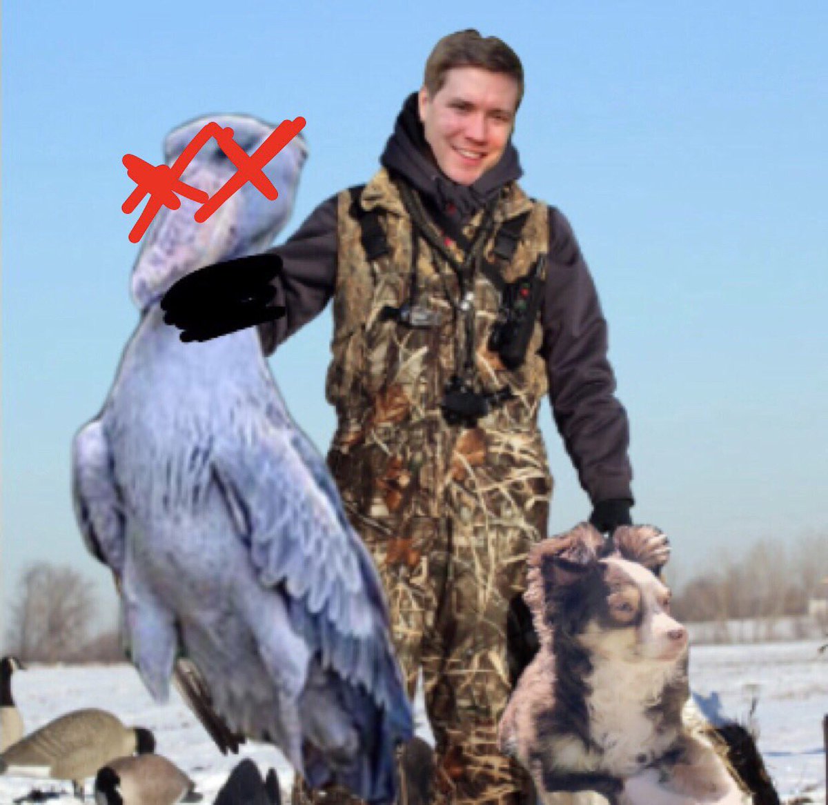EvilBolen's tweet photo. @WRBolen @RossBolenPod @micahwiener 

Evil Ross also enjoys the animal of the week https://t.co/0ZvoHeIhHf