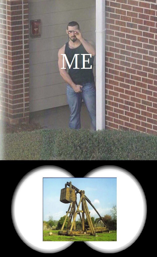 Trebuchet Memes (@trebuchetmemes) on Twitter photo 