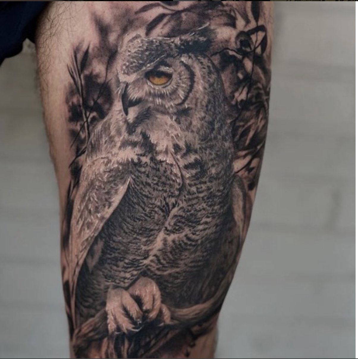 Dark Age Tattoo on Twitter Black and grey owl by Alex Arango at Dark Age  Tattoo Studio in Denton Texas owl nature bird tattoo realistic  blackandgreyrealism animal denton dallas dfw tattooartist texasartist